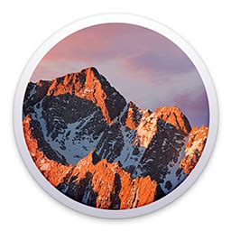 smart cards macos|Advanced smart card options on Mac .